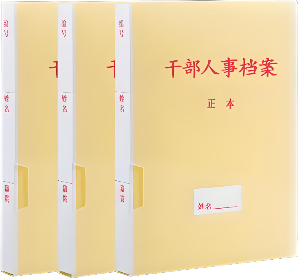 人事檔案的整理、數(shù)字化加工